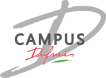 website logo