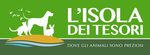 website logo